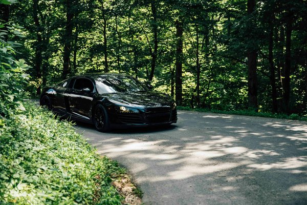 What are the best pet-friendly attractions in the UK?