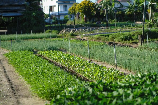 Transform your garden with professional landscape gardeners croydon